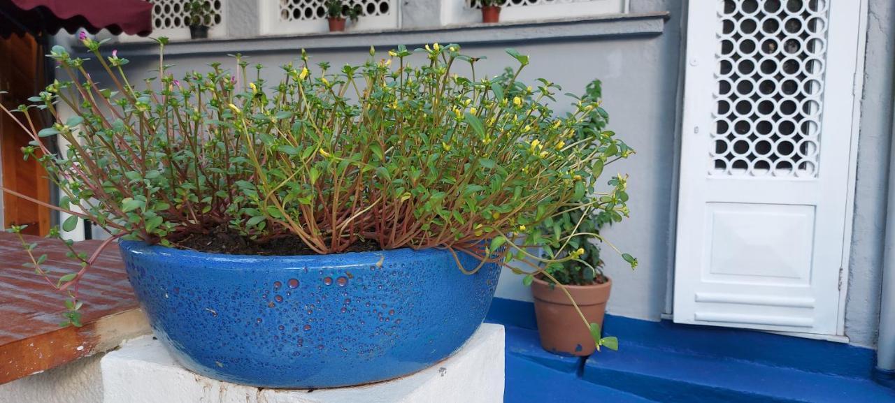 Hostel Leblon Ρίο ντε Τζανέιρο Εξωτερικό φωτογραφία